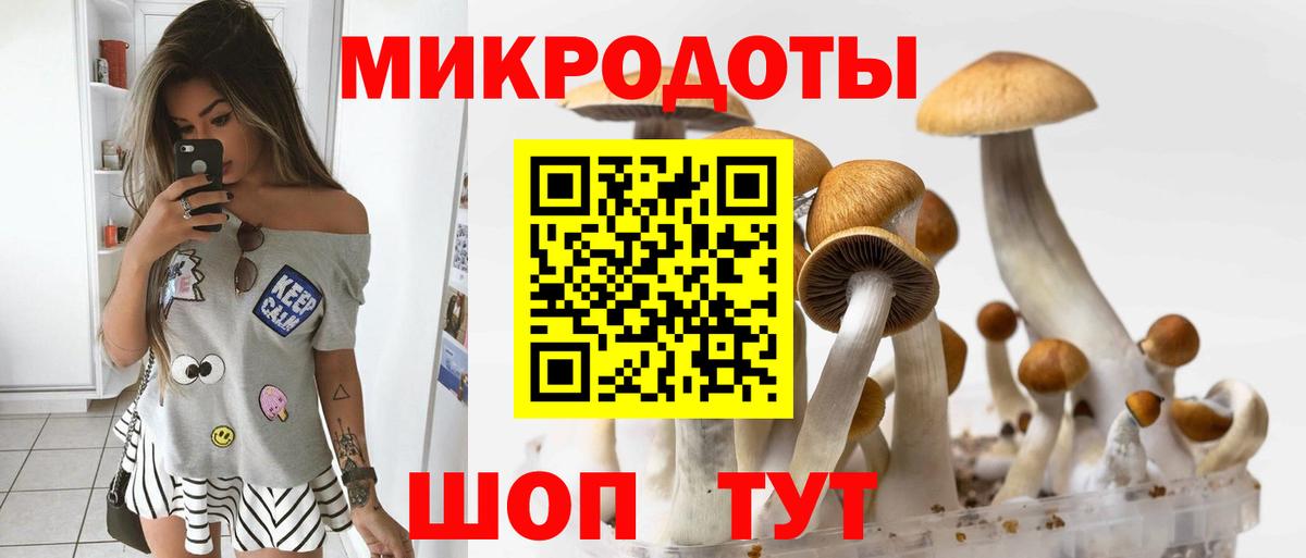 Псилоцибиновые грибы GOLDEN TEACHER Альметьевск